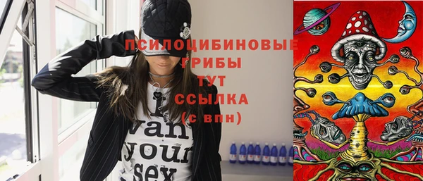 гидра Алексеевка